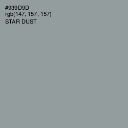 #939D9D - Star Dust Color Image